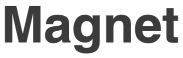 Magnet