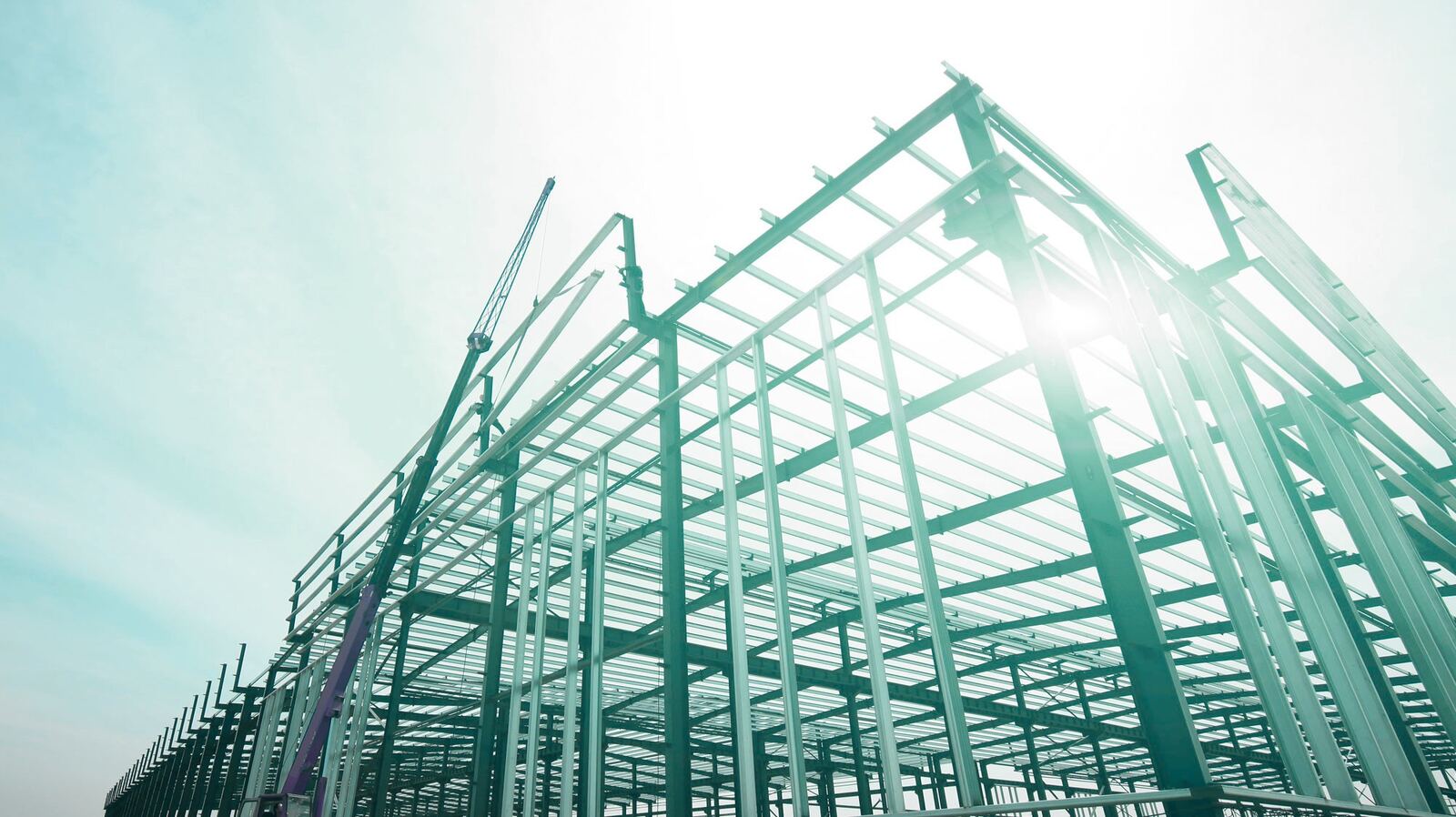 Steel structure under construction with tower crane